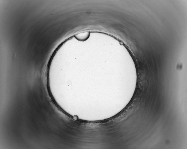 X0000103941519200810101404