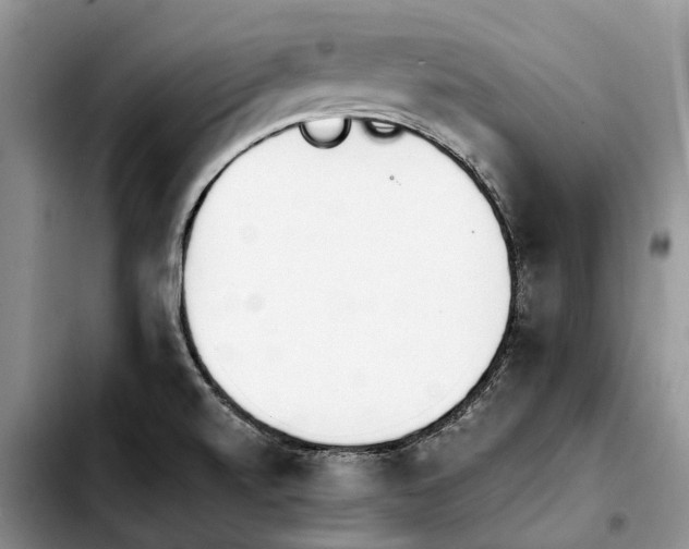 X0000103941520200810101404