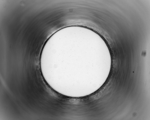 X0000103941521200810101404