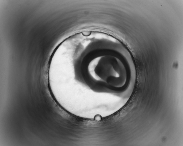 X0000103941522200810101404