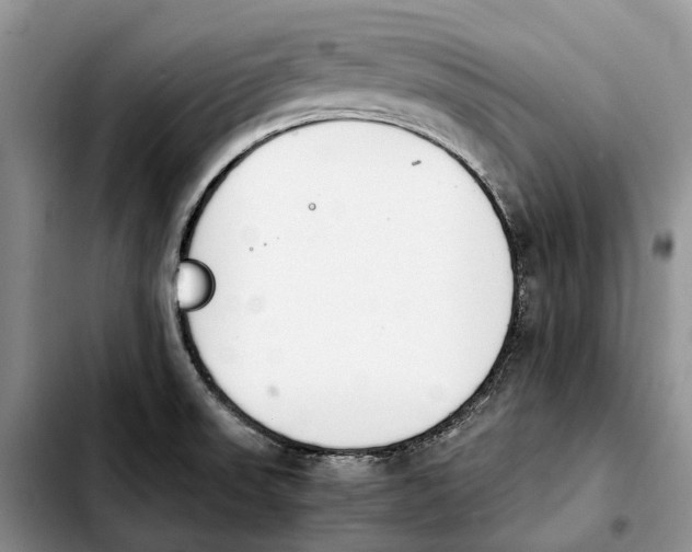 X0000103941523200810101404