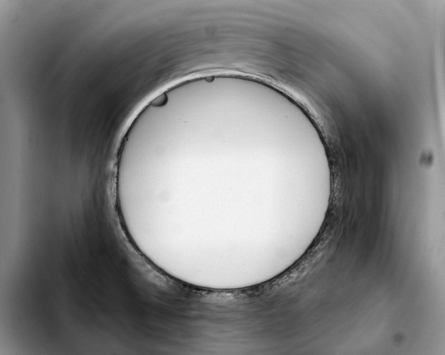 X0000103941524200810101404