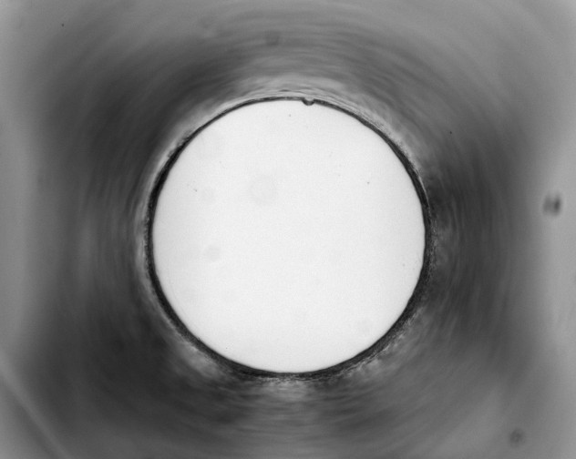 X0000103941525200810101404