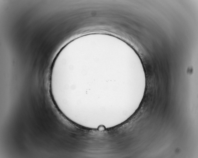 X0000103941526200810101404