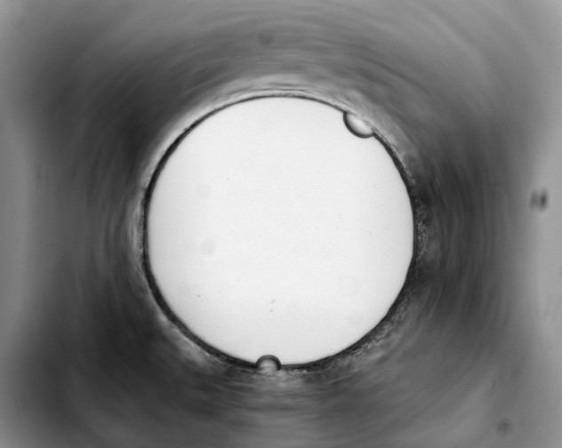 X0000103941527200810101405