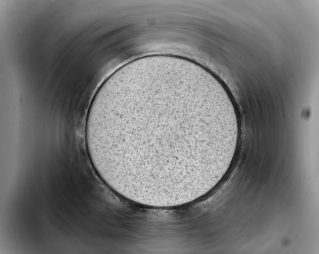 X0000103941529200810101405