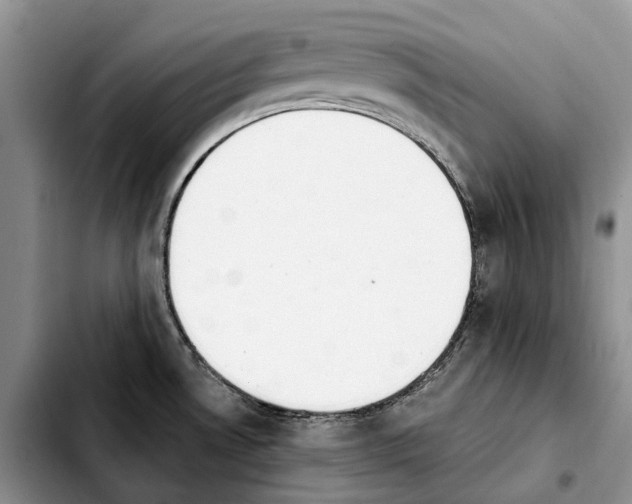 X0000103941530200810101405