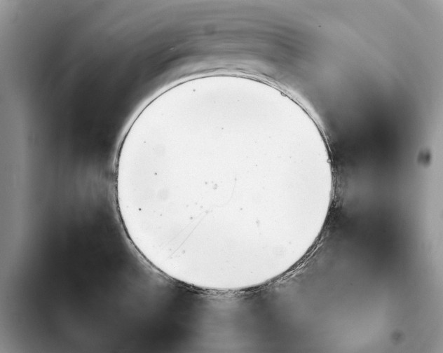 X0000103941532200810101405