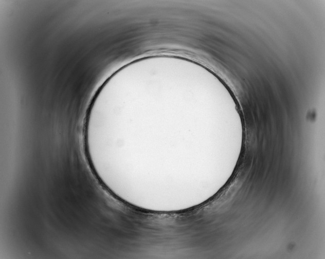 X0000103941533200810101405