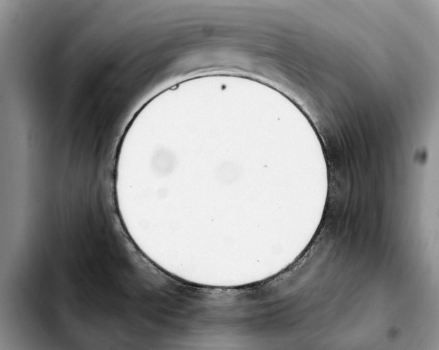 X0000103941534200810101405