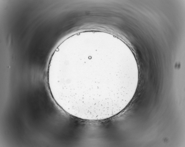 X0000103941536200810101405