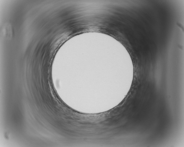 X0000103940001200810171825