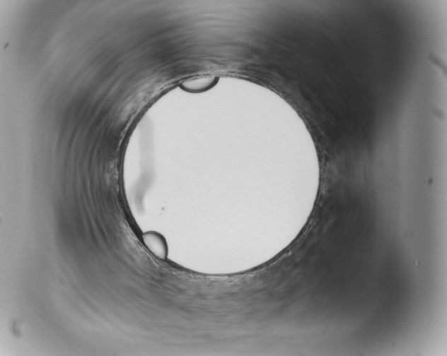 X0000103940002200810171825