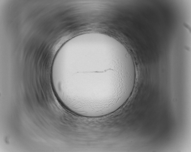 X0000103940003200810171825