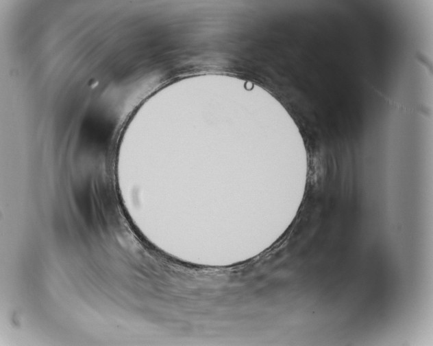 X0000103940004200810171825