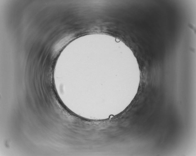 X0000103940005200810171825