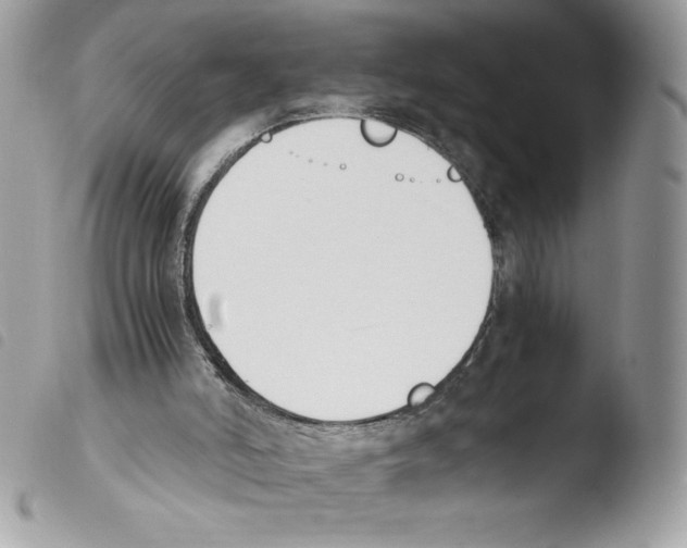 X0000103940006200810171825