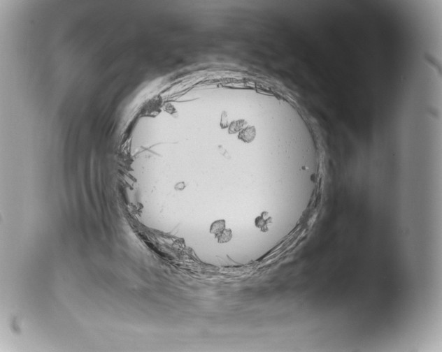 X0000103940007200810171825