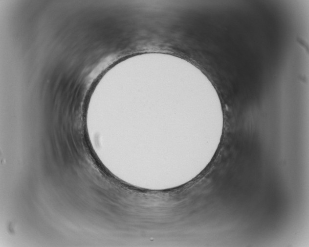 X0000103940008200810171825