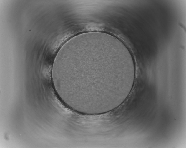 X0000103940009200810171825