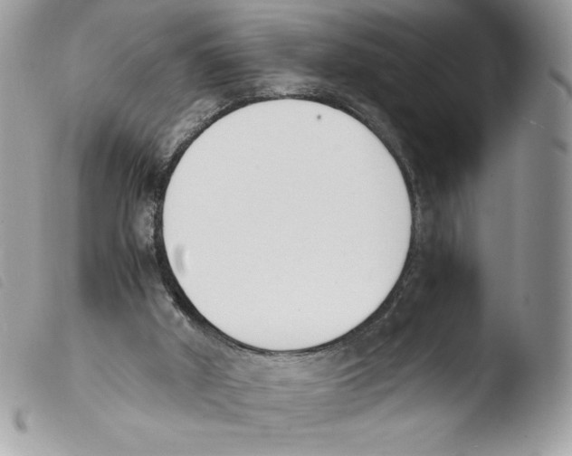 X0000103940010200810171825