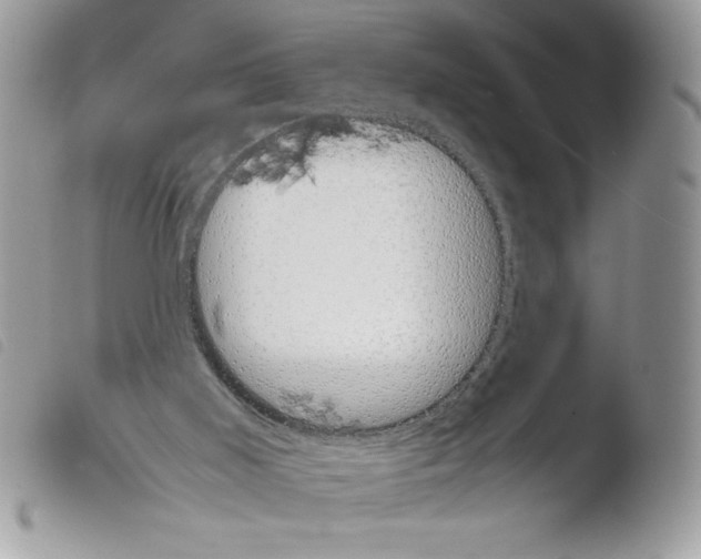 X0000103940011200810171825