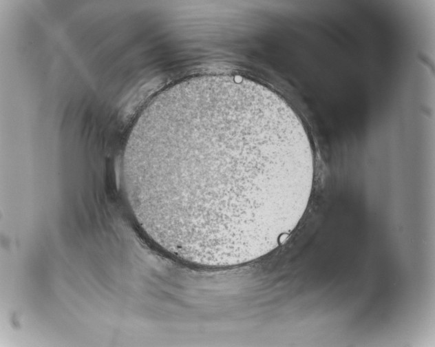 X0000103940013200810171825