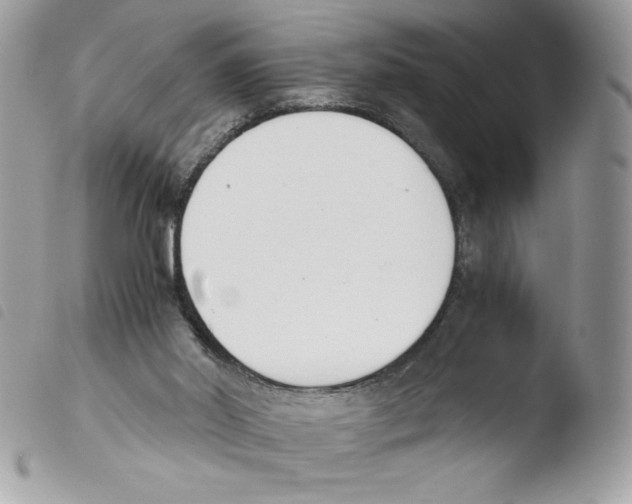 X0000103940014200810171825