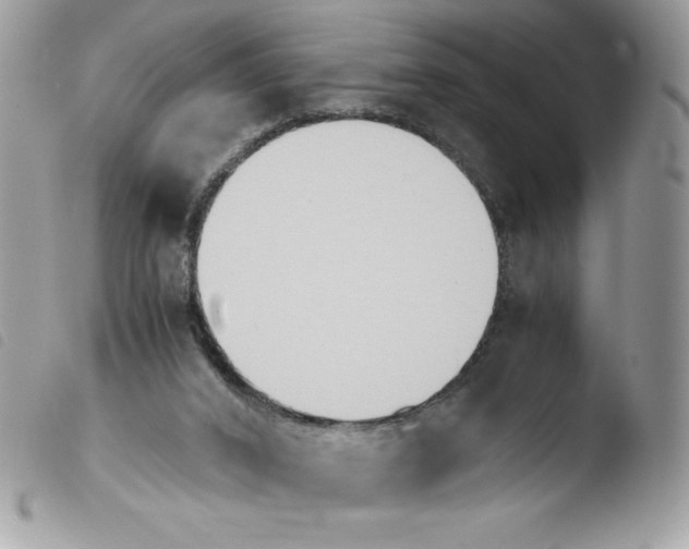 X0000103940016200810171825