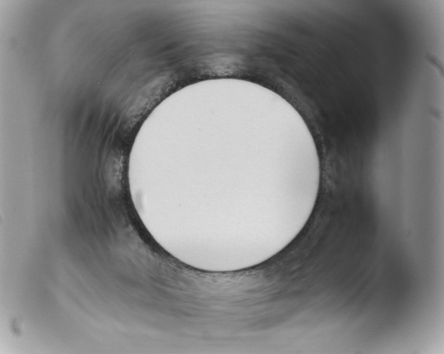 X0000103940018200810171825