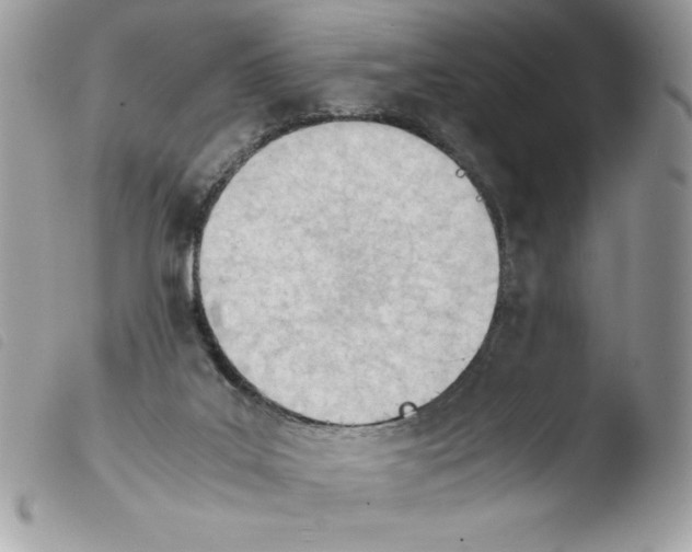 X0000103940019200810171825