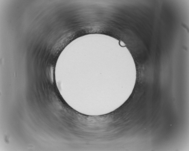 X0000103940022200810171825