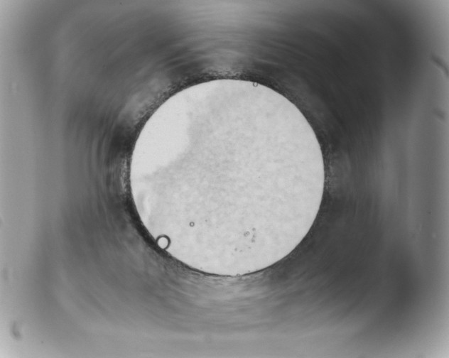 X0000103940023200810171825