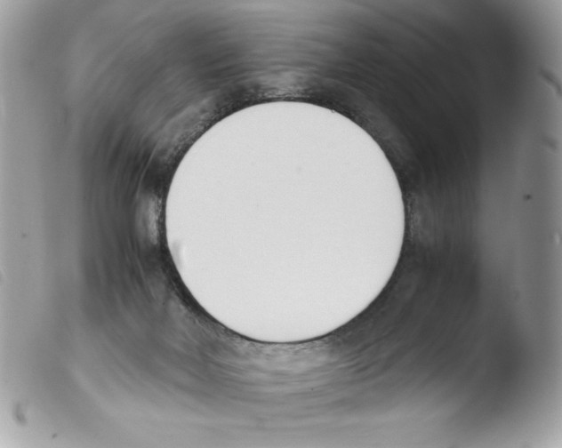 X0000103940026200810171825