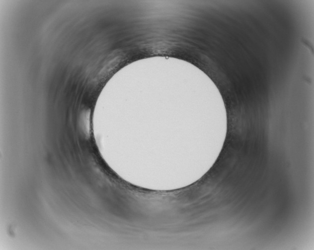 X0000103940028200810171825