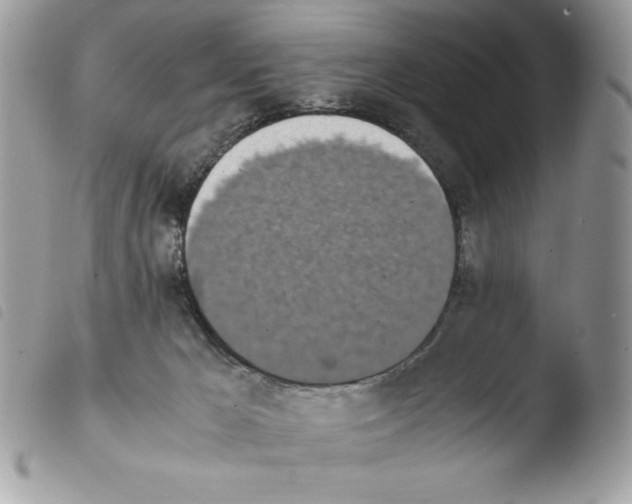 X0000103940029200810171825