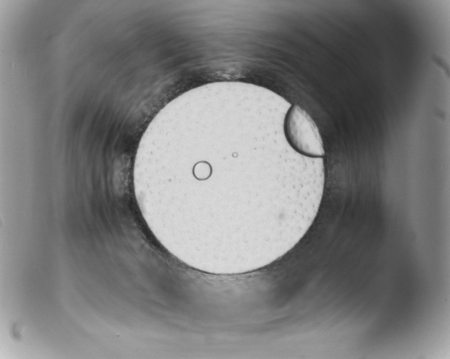 X0000103940030200810171825