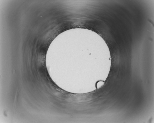 X0000103940033200810171825