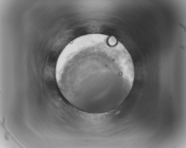 X0000103940035200810171825