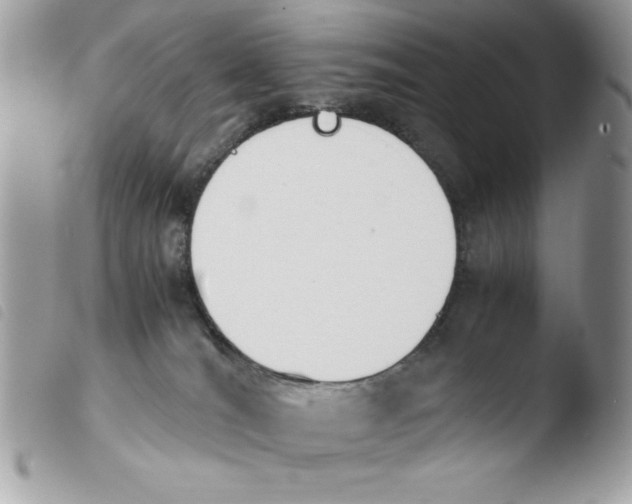 X0000103940036200810171825