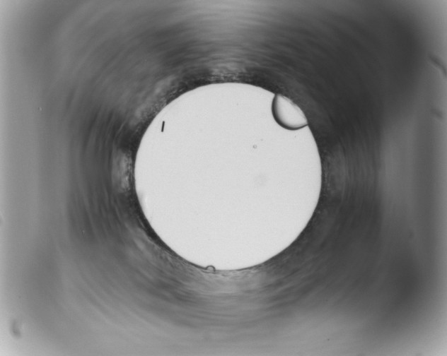 X0000103940038200810171825