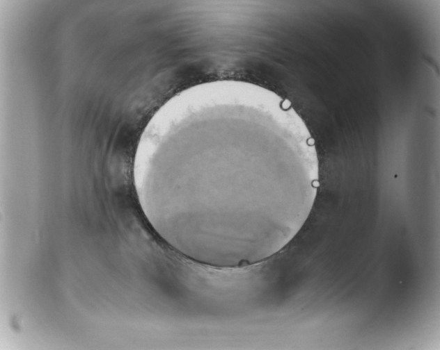 X0000103940039200810171825