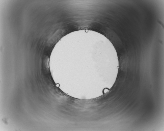 X0000103940041200810171825