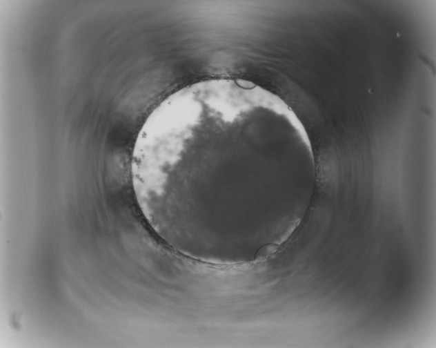 X0000103940043200810171825