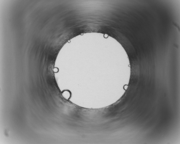 X0000103940045200810171825