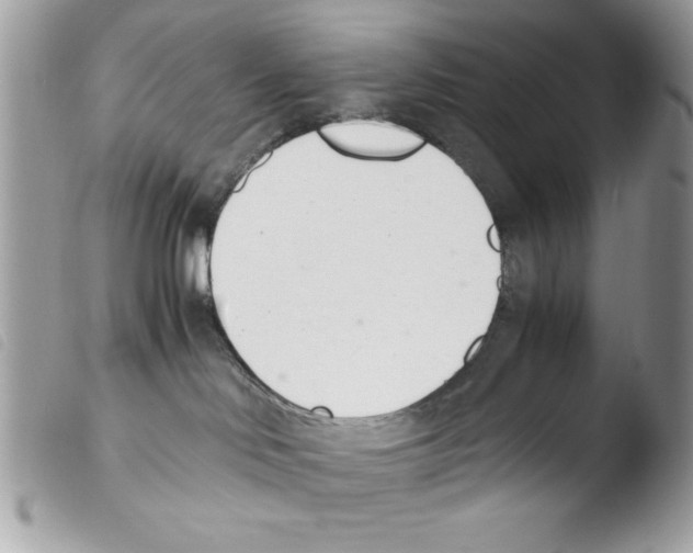 X0000103940046200810171825