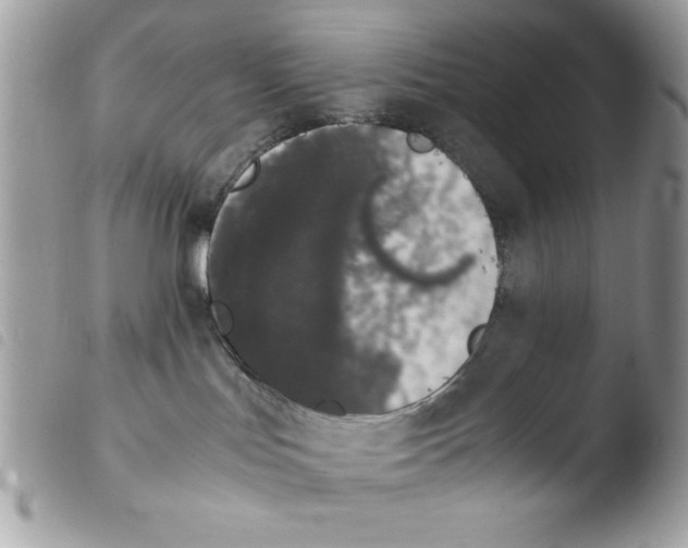 X0000103940047200810171825