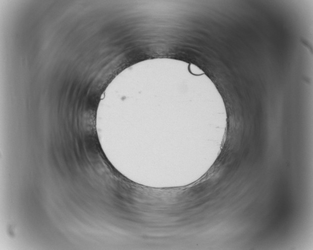 X0000103940048200810171825