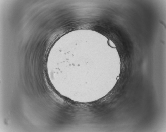 X0000103940049200810171824