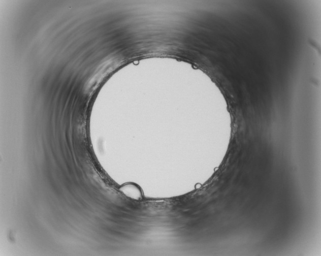 X0000103940050200810171824